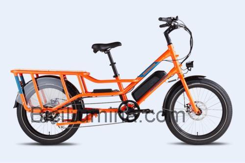 Rad Power Bikes RadWagon 4 ficha técnica y opiniones